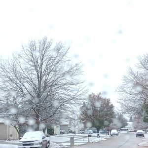 Meet your Posher, Caydence